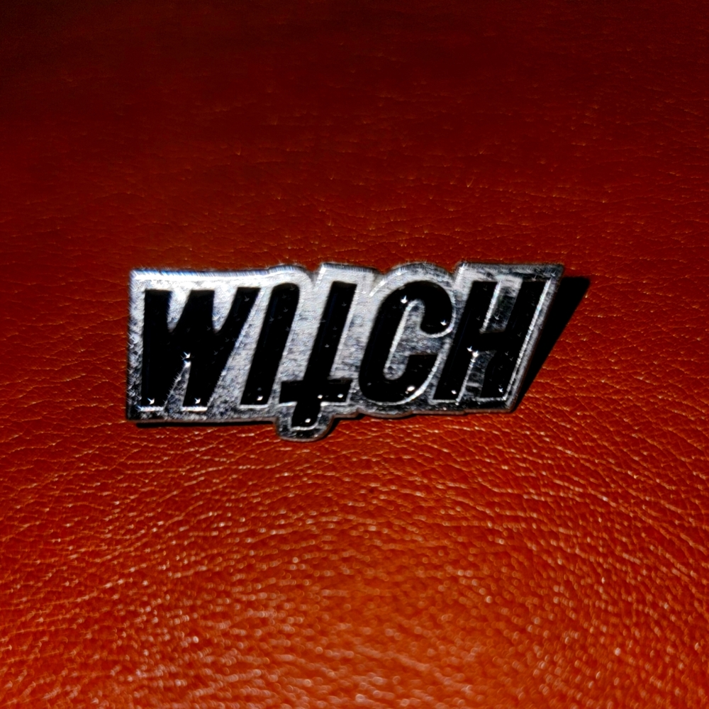 Siver tone Witch pin